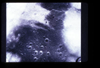 VIEW_02_08