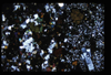 XENO_01_02