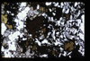 XENO_01_03