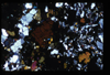 XENO_01_04