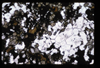 XENO_01_05