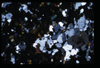 XENO_01_06