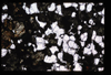 XENO_01_07