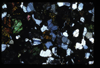 XENO_01_08