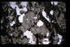 XENO_01_09