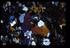 XENO_01_10