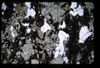 XENO_01_11