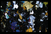 XENO_01_12