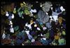 XENO_01_14