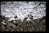 XENO_01_17
