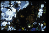XENO_02_15