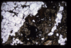 XENO_02_16