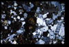 XENO_02_18