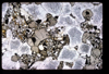 XENO_03_05