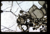 XENO_03_09