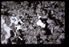 XENO_03_11