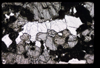 XENO_03_15