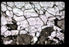 XENO_04_03