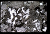 XENO_04_09
