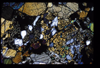 XENO_04_10