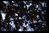XENO_04_12