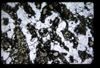 XENO_04_13