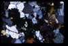 XENO_04_16