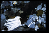XENO_05_04