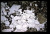 XENO_05_07
