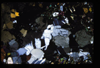 XENO_05_08