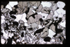 XENO_05_13