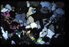 XENO_05_14