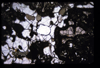 XENO_05_15