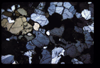 XENO_05_18