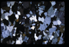 XENO_06_04