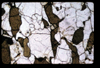 XENO_06_05