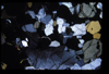 XENO_06_10