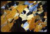 XENO_06_14
