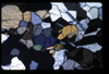 XENO_06_18