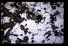 XENO_07_01