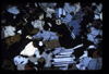 XENO_07_02