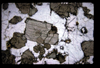 XENO_07_03