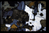 XENO_07_04