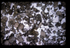 XENO_07_12