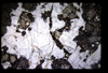 XENO_07_16