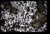 XENO_08_02