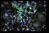XENO_08_03