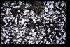 XENO_08_04