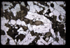 XENO_08_06