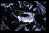 XENO_08_07